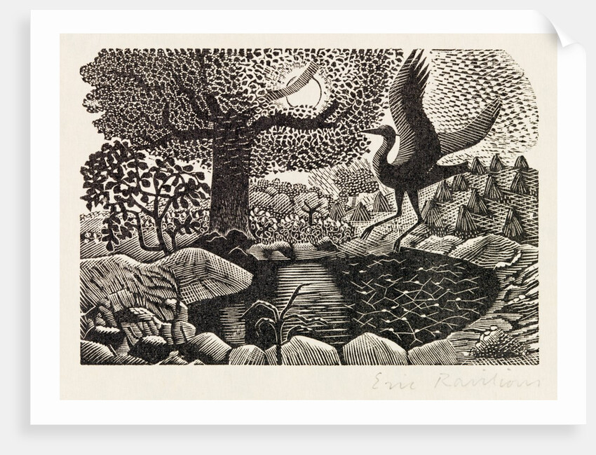 Illustration by Eric Ravilious