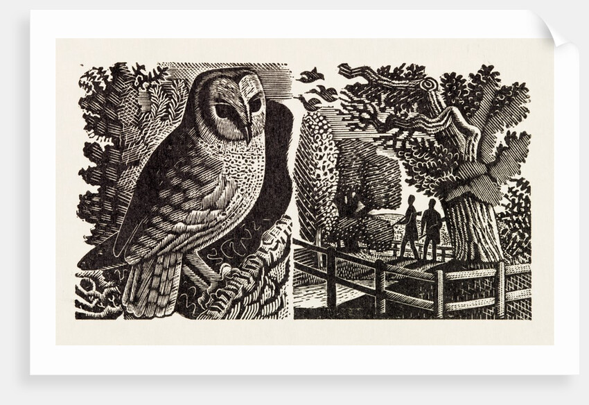 Illustration by Eric Ravilious