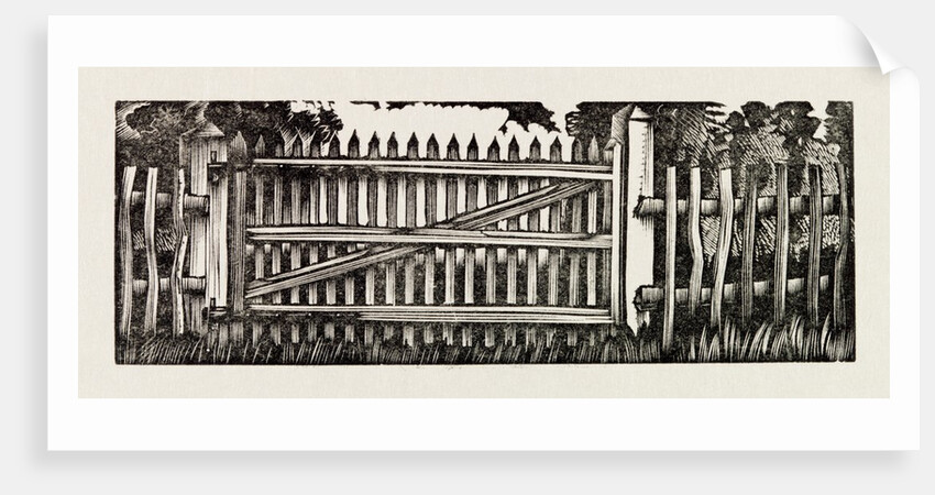 Illustration by Eric Ravilious