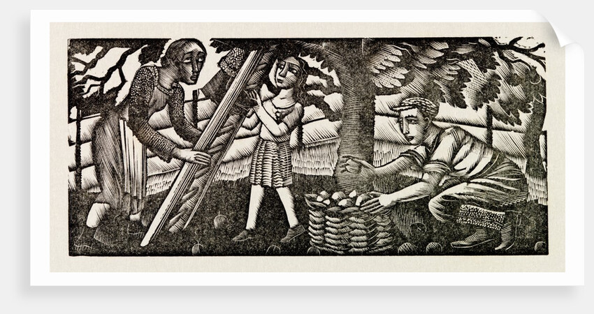 Illustration by Eric Ravilious