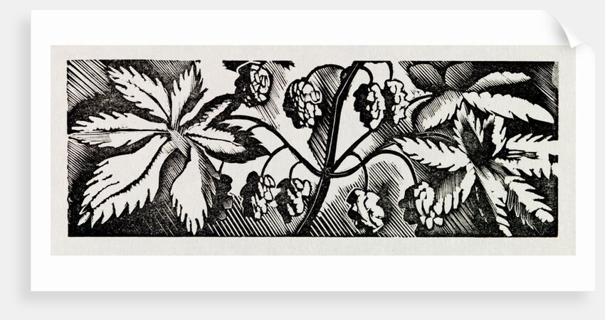 Illustration by Eric Ravilious