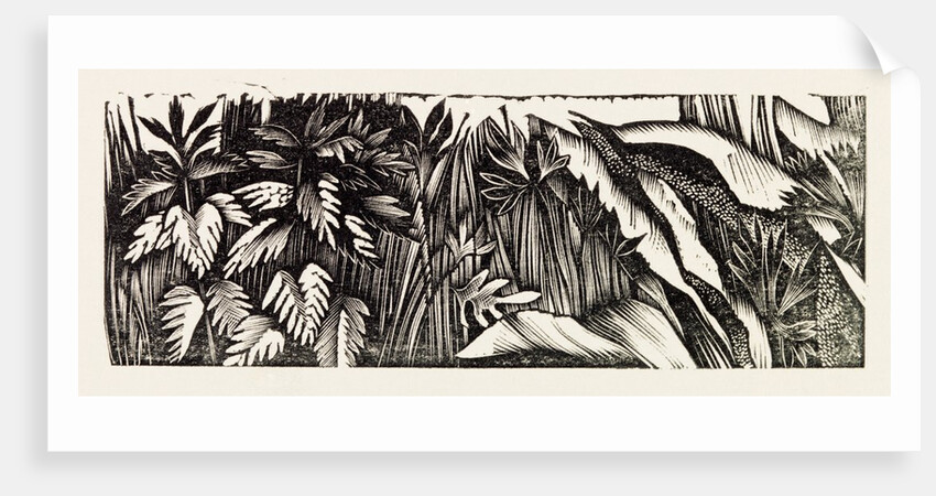 Illustration by Eric Ravilious