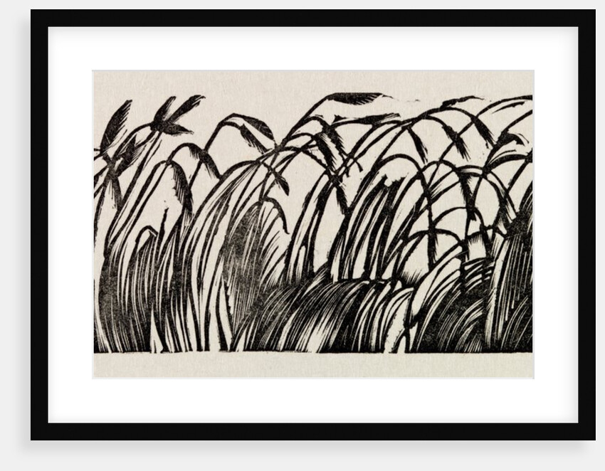 Illustration by Eric Ravilious