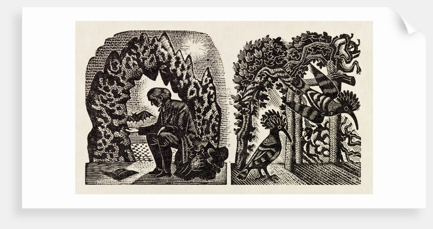 Illustration by Eric Ravilious
