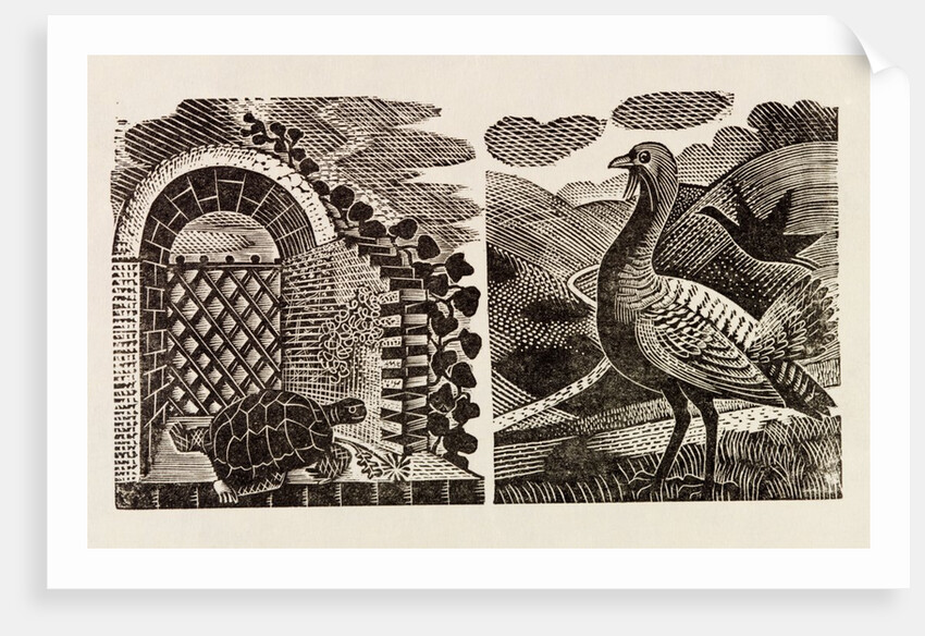 Illustration by Eric Ravilious