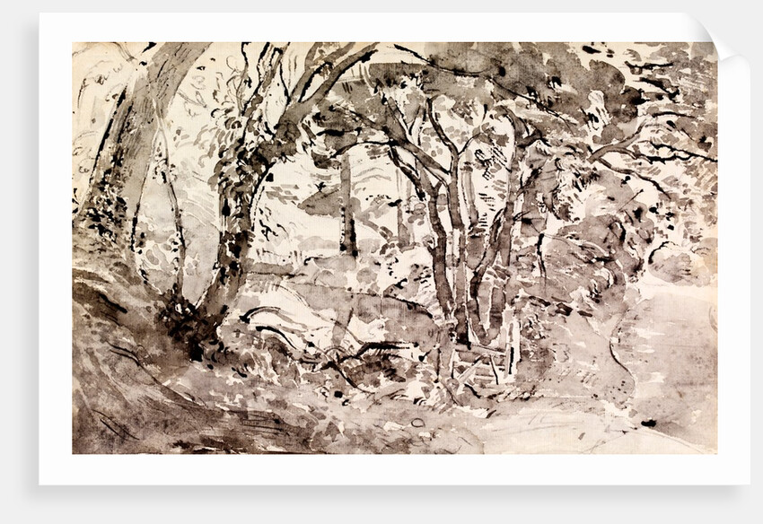 Rimmer's Pond, Ridley by Thomas Hennell