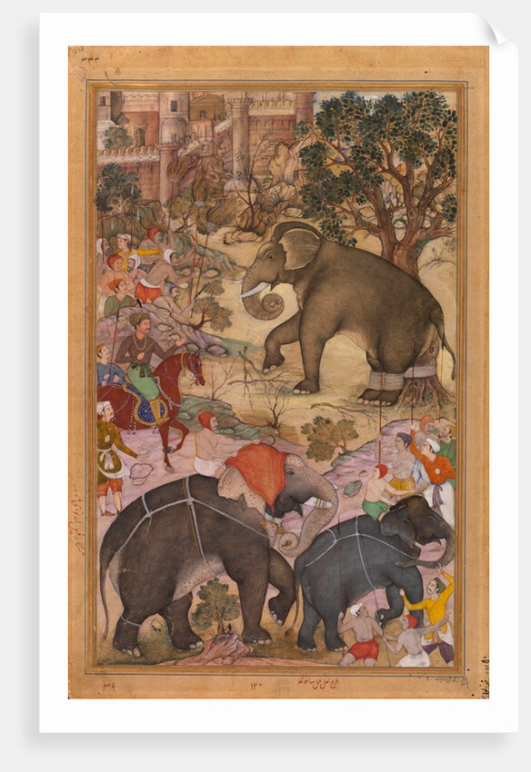 Akbar Inspecting a Wild Elephant by La'l Sanwala