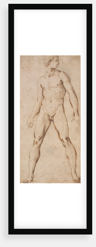 Study of the nude figure of a man by Raphael