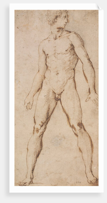 Study of the nude figure of a man by Raphael