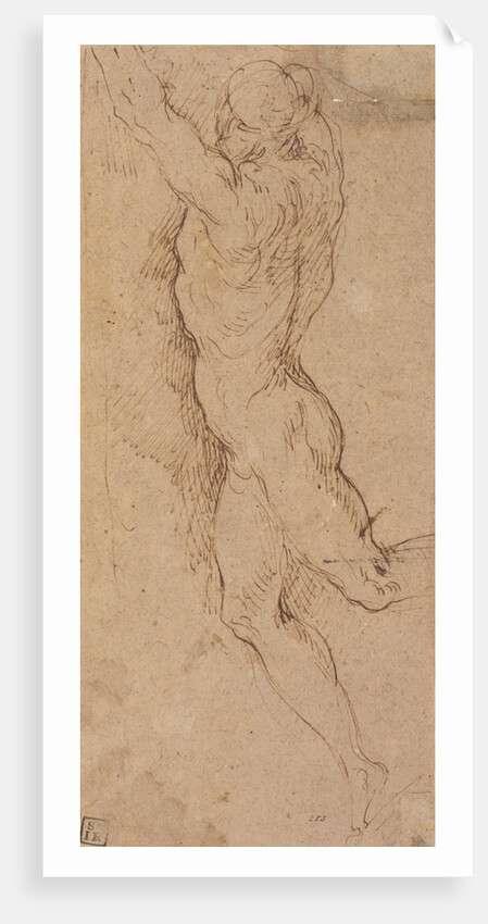 Nude figure of a man holding by Jacopo Palma
