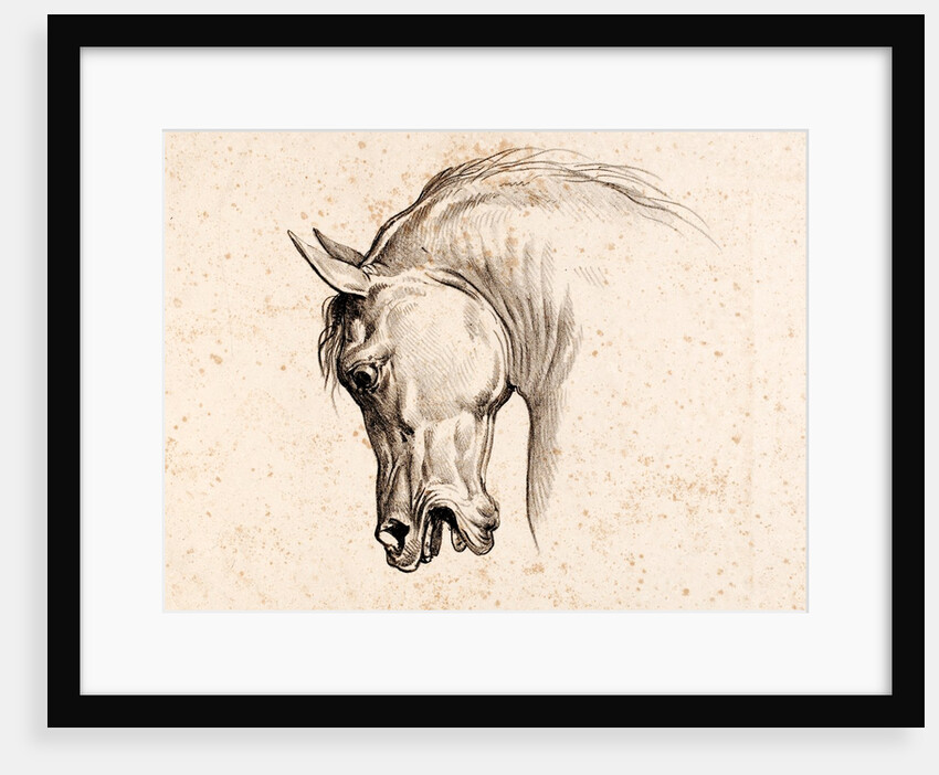 Print depicting a horse by Carle Vernet