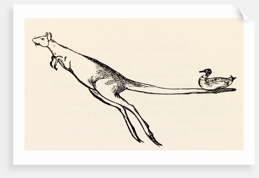 A B C Lear Alphabet by Edward Lear