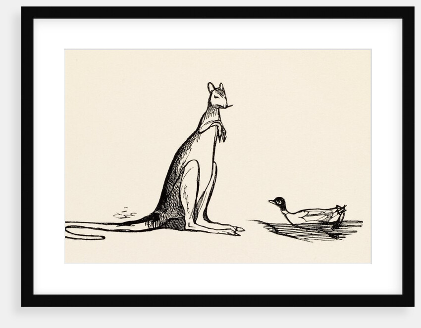 A B C Lear Alphabet by Edward Lear