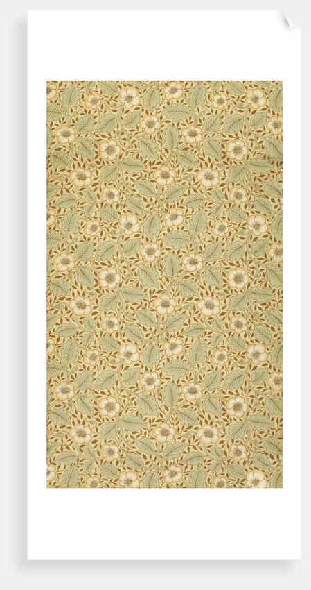 Christchurch wallpaper by William Morris