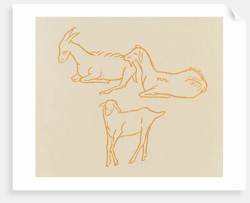 Goats by Aristide Maillol
