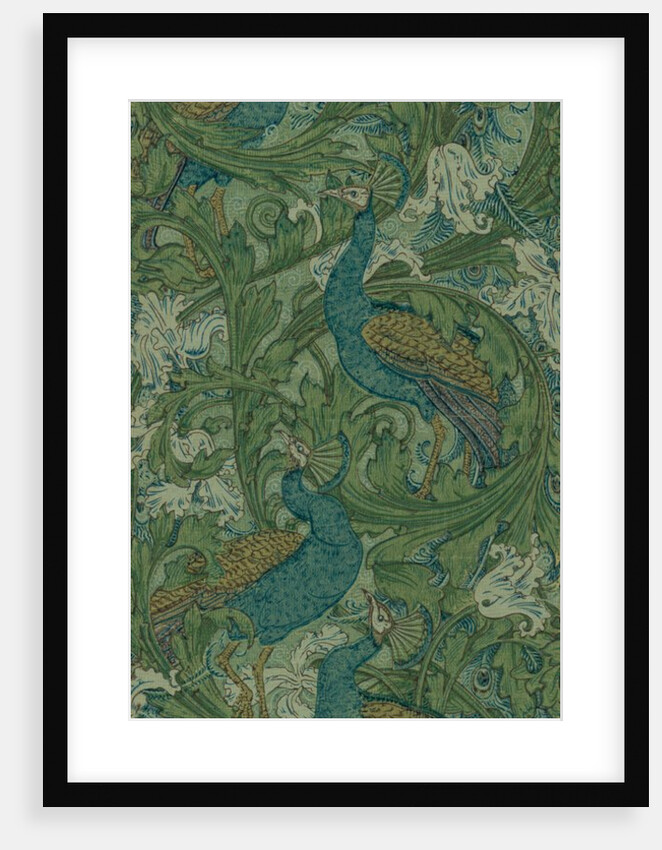 Peacock Garden by Anonymous