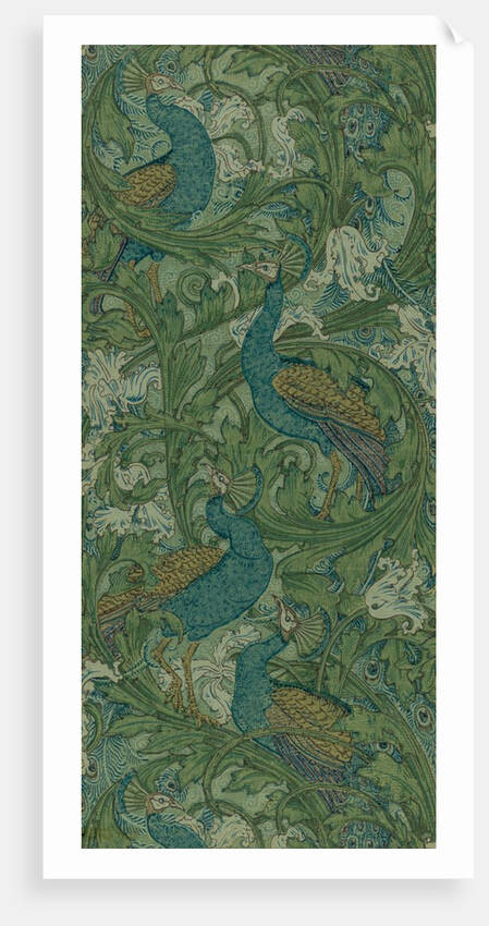 Peacock Garden by Anonymous