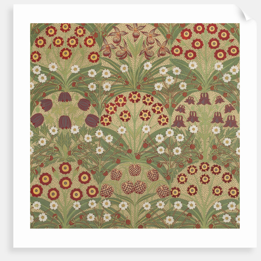 Wild Flowers wallpaper by Allan Francis Vigers