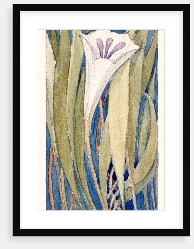 Lily by Charles Robert Ashbee
