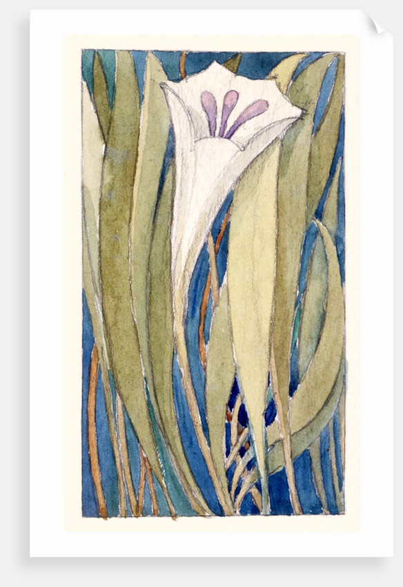 Lily by Charles Robert Ashbee