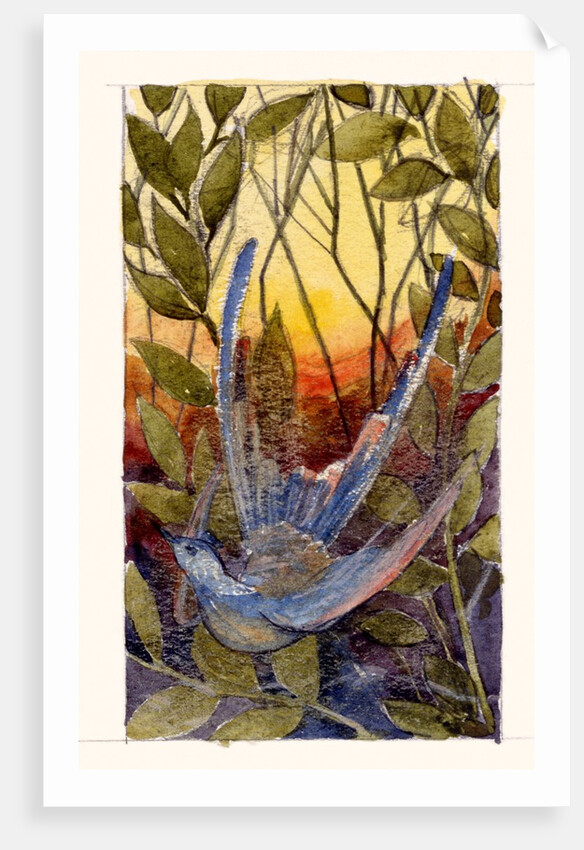 Blue Humming Bird by Anonymous