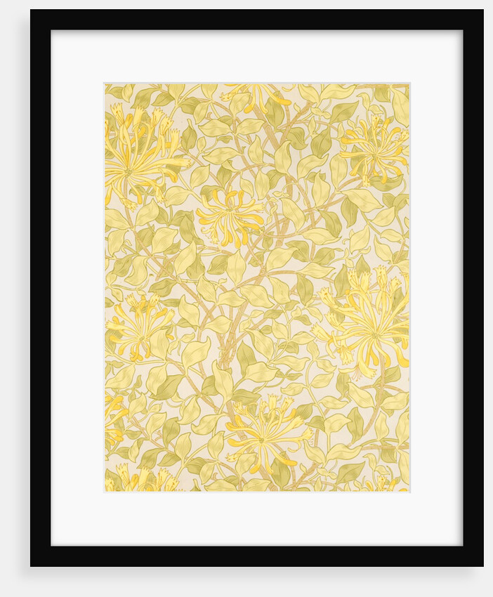 Honeysuckle wallpaper by Mary Morris