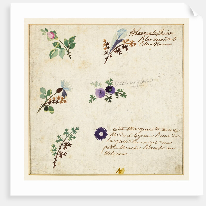 Design for embroidery on men's waistcoats by Jean Pillement