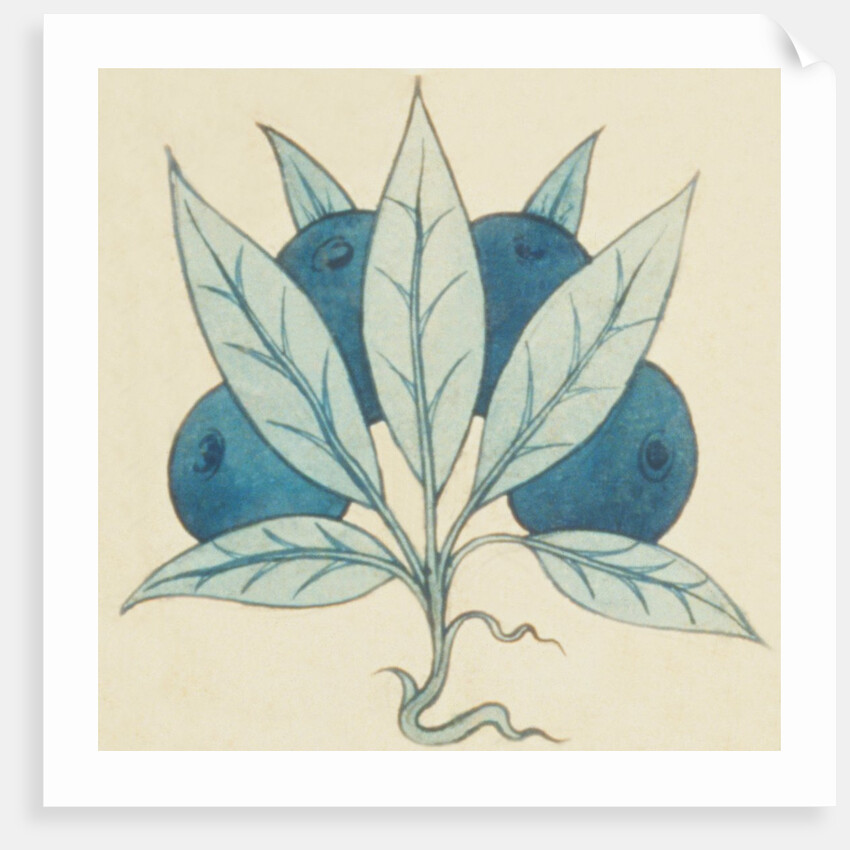 Design of tile by William de Morgan