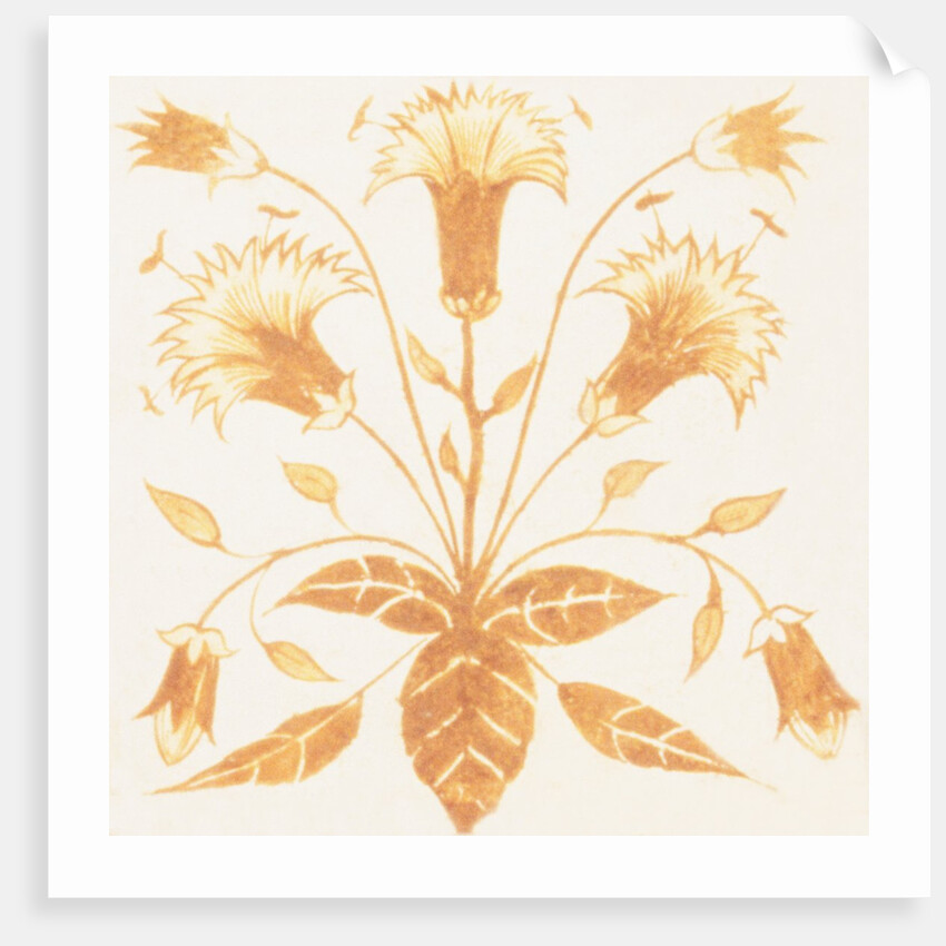 Design of tile by William de Morgan