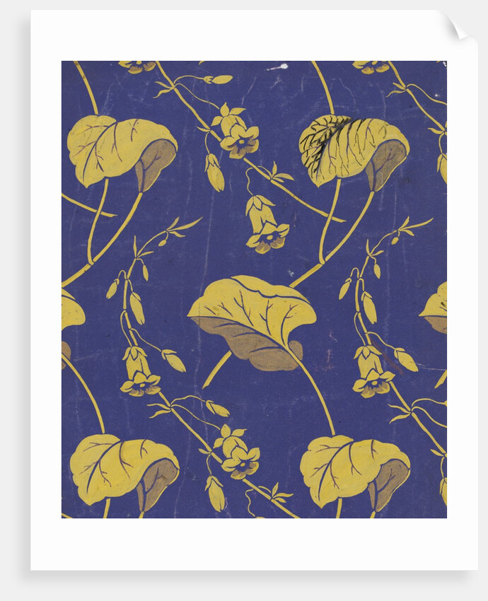 Design for woven silk by J. D. Cornuaud