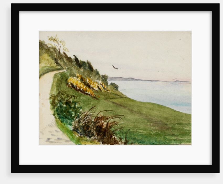 Coastal path with lone bird in flight by May Morris