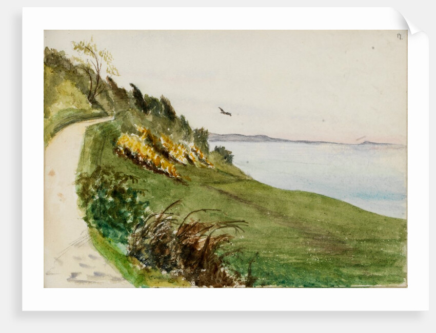Coastal path with lone bird in flight by May Morris