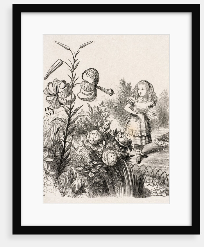 Alice and the Flowers by Dalziel Brothers