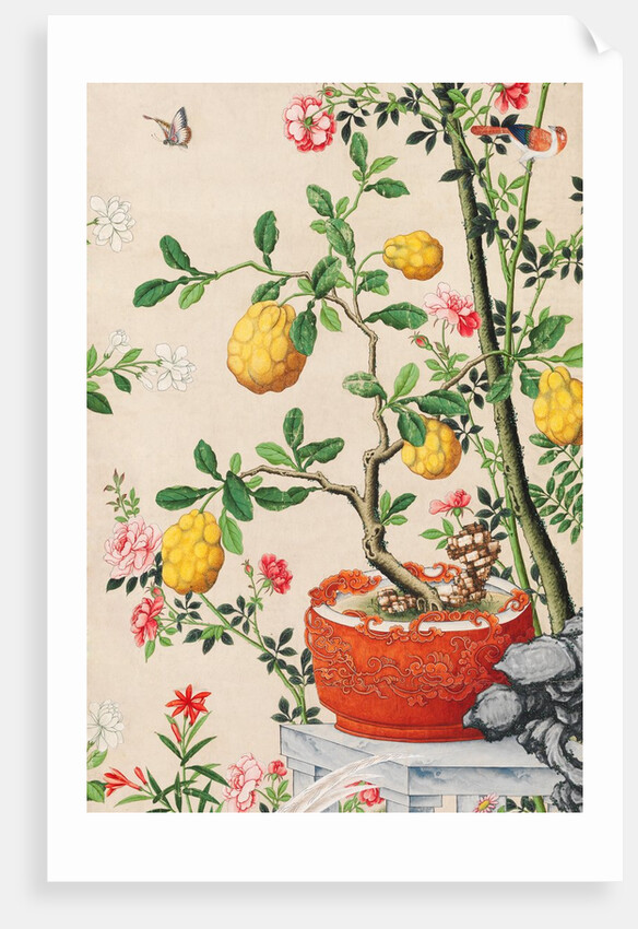 Wallpaper with yellow fruits in orange-coloured pot by unknown