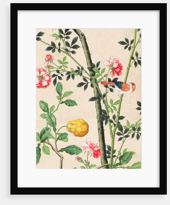 Wallpaper with small bird on branch beside a large yellow fruit by unknown