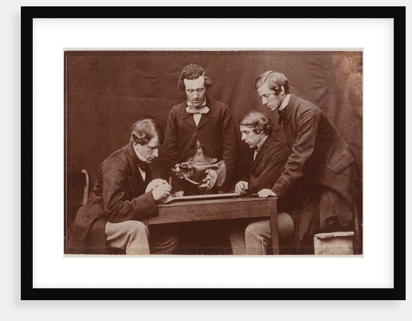 The Anatomy Lesson with Dr by Charles Lutwidge Dodgson