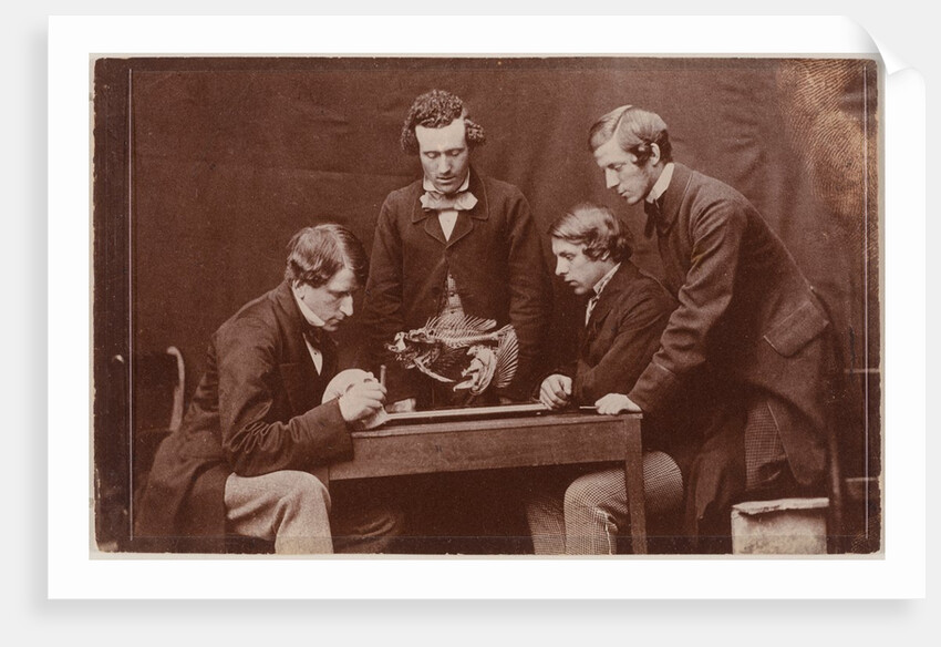 The Anatomy Lesson with Dr by Charles Lutwidge Dodgson