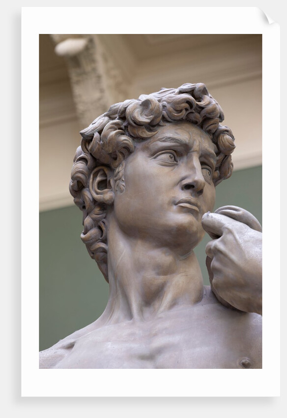 The Weston Cast Court (Gallery 46B) by Anonymous