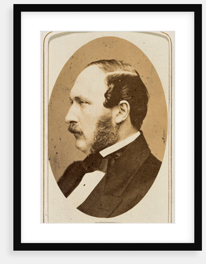 Prince Albert by John Jabez Edwin Mayall