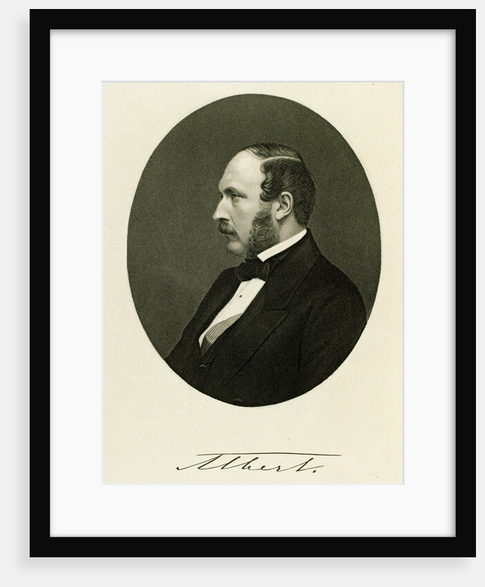 Prince Albert by William Holl