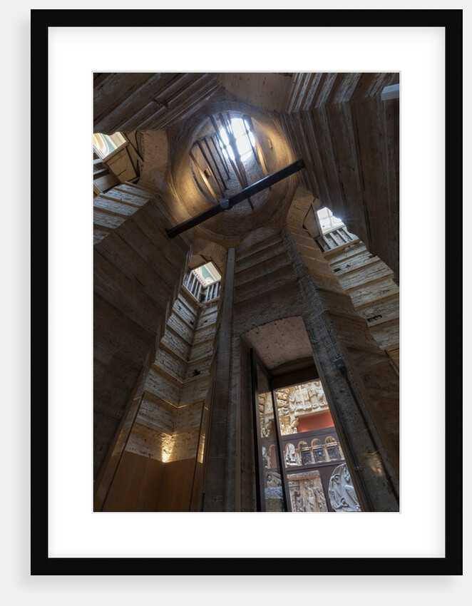 The Ruddock Family Cast Court (Gallery 46A) by Anonymous