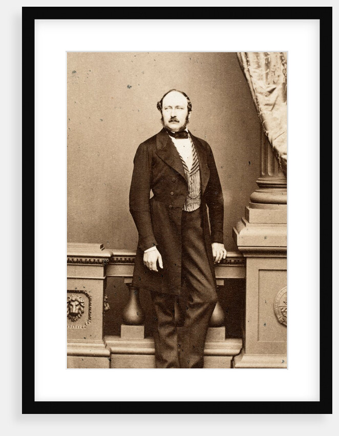 Prince Albert by John Jabez Edwin Mayall