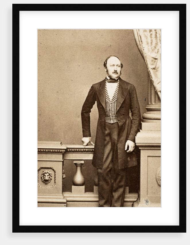 Prince Albert by John Jabez Edwin Mayall