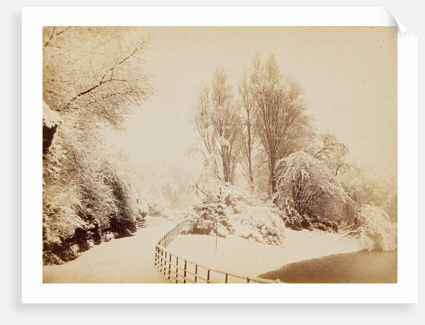 Snowfall in March, in Battersea Park by Paul Martin