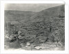 Balaklava by James Robertson