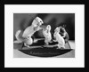Schoolmaster Severity, stuffed animals showing typical Victorian classroom scenes by Anonymous