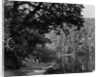 Simla by Samuel Bourne