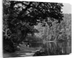Simla by Samuel Bourne
