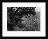 Simla by Samuel Bourne