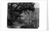 Simla by Samuel Bourne